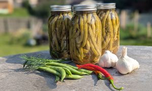 3 Jars of pickled green beans on a wooden table with fresh beans, dill, cayenne peppers, and garlic in front of it.